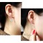 Wanying Stylish Extreme Zircon Rose Stud Earrings