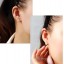 Wanying Shiny Starfish Stud Earrings