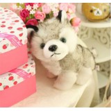 Wholesale - Husky Dog Plush Toy Imitate Toy 23cm/9inch