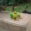 Mini Mutant Ninja Turtles Figure Toys Action Figures 4Pcs Set