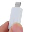 Lightning 8-Pin Male to Micro USB Female Adapter Converter for iPhone 5/iPad Mini/iPad 4 - White