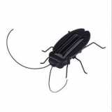 Wholesale - Solar Power Cockroach Plaything Toy