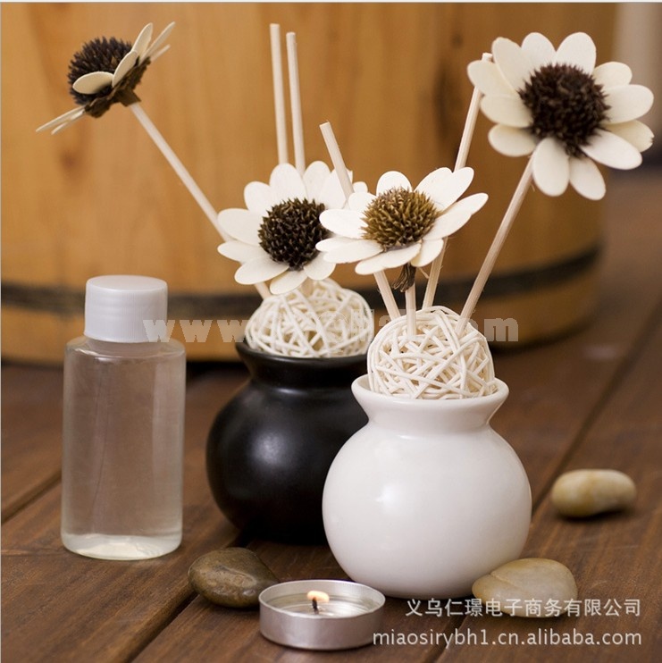 Home Air Freshener Aromatherapy Essential Oil and Ceramic Bottle Set -R204