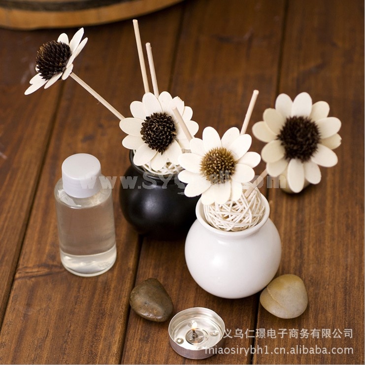 Home Air Freshener Aromatherapy Essential Oil and Ceramic Bottle Set -R204