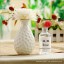 Home Air Freshener Aromatherapy Essential Oil and Ceramic Bottle Set -2I314