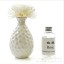 Home Air Freshener Aromatherapy Essential Oil and Ceramic Bottle Set -2I314