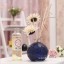 Home Air Freshener Aromatherapy Essential Oil and Coloured Glaze Glass Bottle Set -RZMB