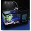 LCD Mini Aquarium (hf888)
