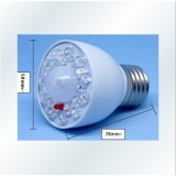 Wholesale - Motion Sensor LED Light