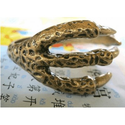 http://www.orientmoon.com/16102-thickbox/vintage-stylish-eagle-claw-bracelet-tc34.jpg