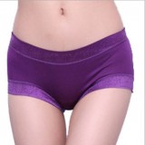Wholesale - Women's Modal Fibre Seamless Low Waist Brief/Panties