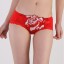 Women's Sexy Embroidery Low Waist Brief/Panties