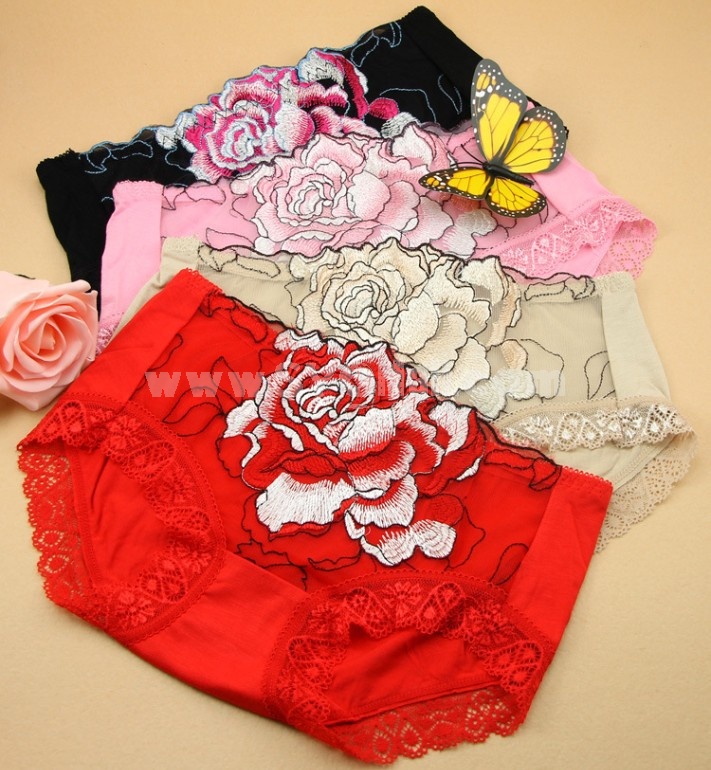 Women's Sexy Embroidery Low Waist Brief/Panties
