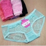 Wholesale - Women's Sexy Lace Middle-rise  Brief/Panties