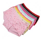 Wholesale - Women's Cotton Brief/Panties(More Colors)