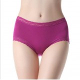 Wholesale - Women's Bamboo-carbon Fiber With Lace Side High Waist Shapping Brief/Panties