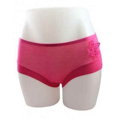 http://www.orientmoon.com/18604-thickbox/women-s-modal-fibre-seamless-low-waist-brief-panties.jpg