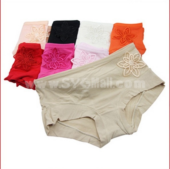 Women's Modal Fibre Seamless Low Waist Brief/Panties