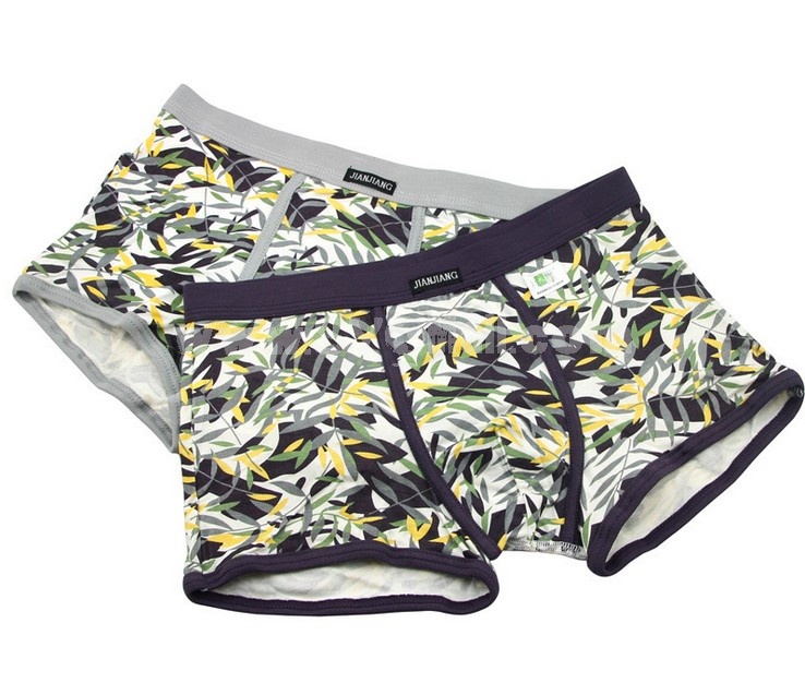 Men's Printed Boxer, Underpants 