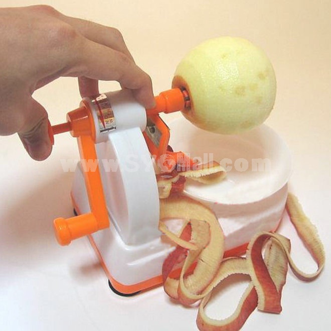 Multi-function fruits peeling machine 