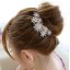 Gorgeous Alloy With Rhinestone Hair Combs
