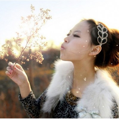 http://www.orientmoon.com/19448-thickbox/tb98-korean-style-crystal-princess-headband.jpg