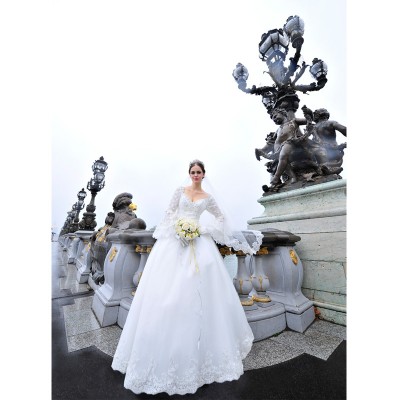 http://www.orientmoon.com/20046-thickbox/mtf-v-neck-elegant-a-line-train-wedding-dress-with-sleeves-s1293.jpg