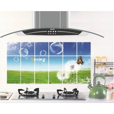 http://www.orientmoon.com/20902-thickbox/kitchen-pvc-durable-dandeline-style-oilproof-sticker.jpg