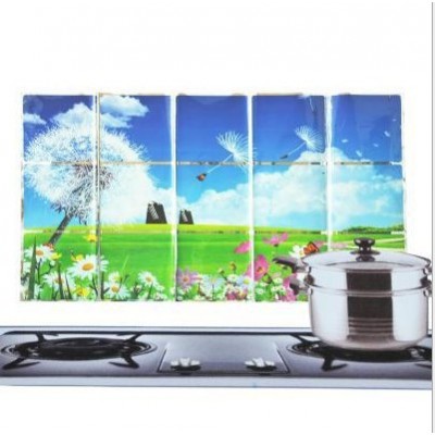 http://www.orientmoon.com/20908-thickbox/kitchen-pvc-durable-petaldandeline-style-oilproof-sticker.jpg