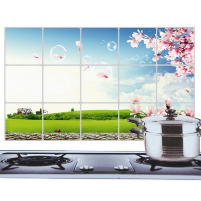 http://www.orientmoon.com/20912-thickbox/kitchen-pvc-durable-romantic-style-oilproof-sticker.jpg