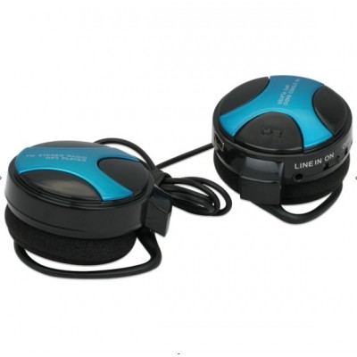 http://www.orientmoon.com/21366-thickbox/plug-in-card-designed-mp3-fm-wireless-headphone-wst-360.jpg
