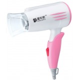 Wholesale - Household Hand-held Styling Hair Drier DNS-8916