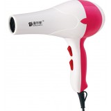 Wholesale - Household Hand-held Styling Hair Drier DNS-8619