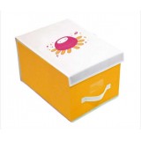 Wholesale - AST Cartoon Children Storage Box