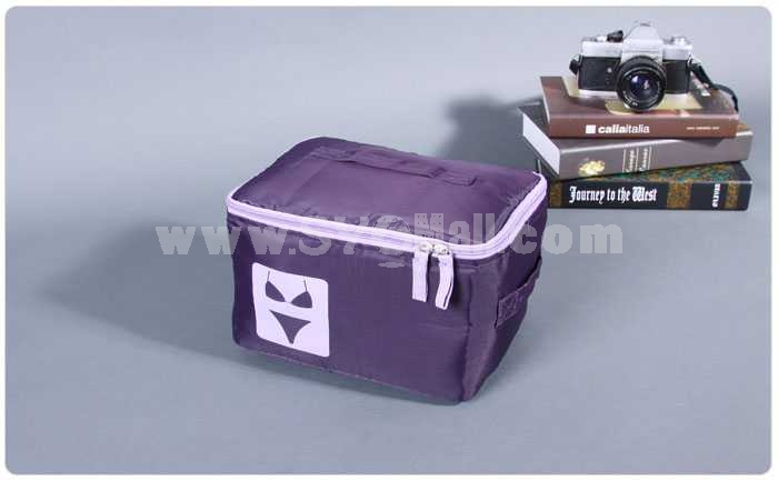 Stylish Violet Storage Bag Small