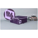 Wholesale - Stylish Violet Storage Bag Large