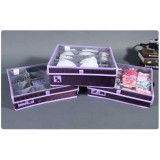 Wholesale - Stylish Violet Underwear Closet Organizer Sets 3PCs