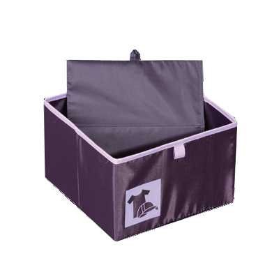 http://www.orientmoon.com/32779-thickbox/stylish-violet-4-girds-shirts-storage-box.jpg