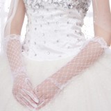 Wholesale - Lace/Voile Fingertips Elbow Length Bridal Gloves