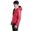 Men's Coat Cotton Padded Hooded Slim Fashion (12-210A-110)