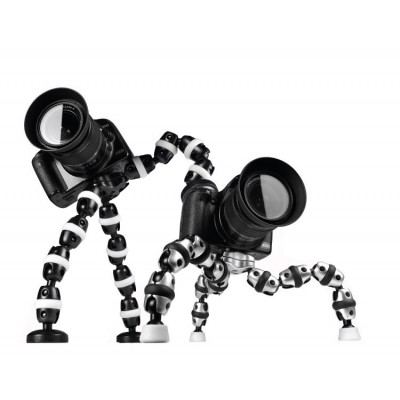 http://www.orientmoon.com/47129-thickbox/fotopro-mini-camera-tripod-flexible-lightweight-rm-110r.jpg