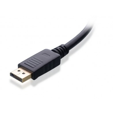 http://www.orientmoon.com/49500-thickbox/displayport-male-to-male-cable.jpg