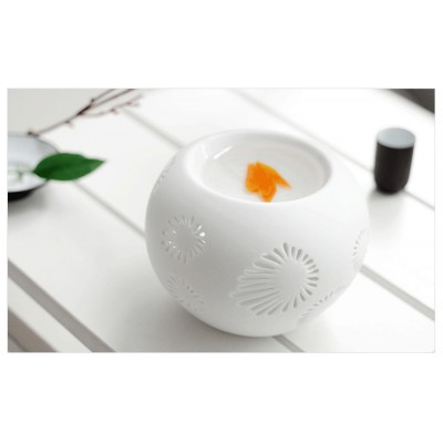 http://www.orientmoon.com/54211-thickbox/delicate-hollow-frosted-ceramic-furnace-essential-oil-l912.jpg