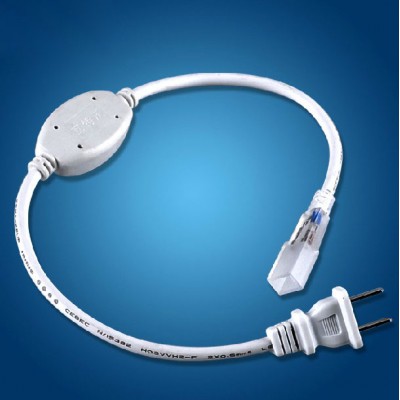 http://www.orientmoon.com/54869-thickbox/votoro-led-rope-light-power-adapter-220v.jpg