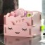 Desktop Storage Box Cosmetics Box Pull-Out Design Wooden Girl Face DIY (SN2024)