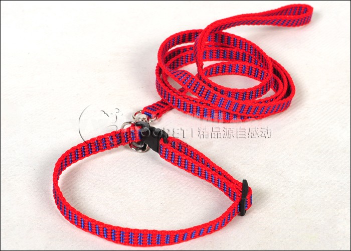 Soft Nylon Leash with Collar for Small Dogs