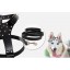 Rivets Decorated Chest Strape with Leash for Large Dogs Chest 19-26inch