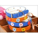 Wholesale - Soft PU Collar for Small Dogs/Cats Flower Pattern