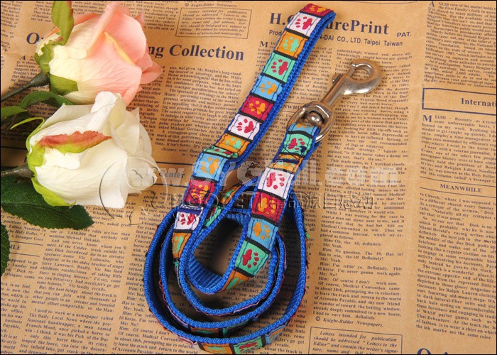 Blue Leash Decorated with Dog Paws for Small/Middle-sized Dogs