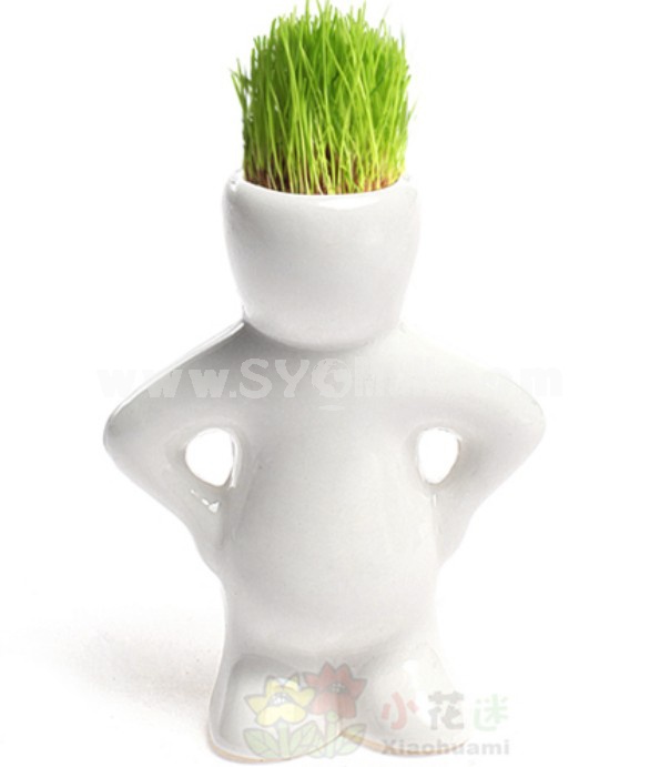 DIY Mini Green Plant Ceramic Stand Hair Man Plant Pattern Plant 